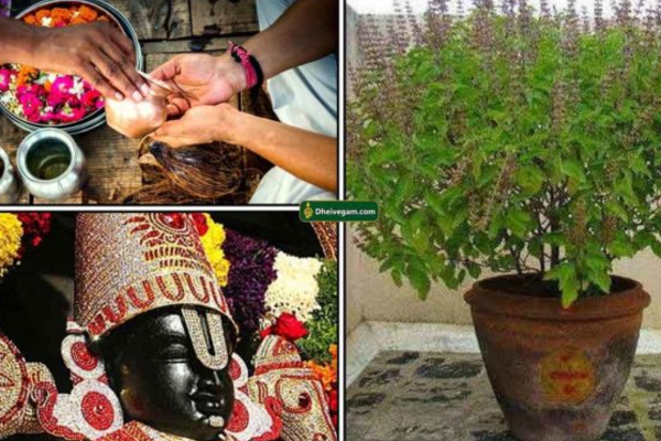 துளசி செடிக்கு இவ்வளவு சக்தியா..! வீட்டில் ஏன் வளர்க்க வேண்டும் | Benefits Of Growing Holy Thulasi Plant In Home