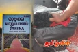 யாழில் கால்நடைகளை திருட முயன்ற கும்பல்! பொதுமக்களால் மடக்கி பிடிப்பு