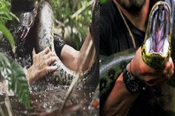 அனகோண்டா விழுங்கிய நபர்; உயிருடன் மீட்கப்பட்ட அனுபவம் - திக் திக் நிமிடங்கள்!