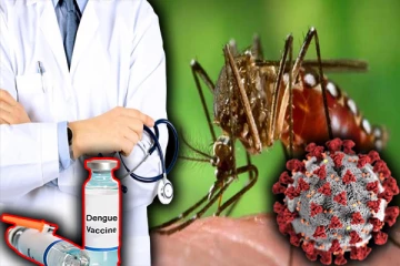 இலங்கையில் அதிகரித்து வரும் டெங்கு நோயாளர்களின் எண்ணிக்கை!