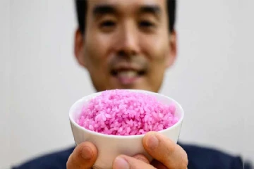 கொரிய விஞ்ஞானிகள் கண்டுபிடித்த இறைச்சி அரிசி