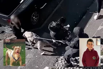 10 சிறுவனை கடித்து குதறி கொன்ற நாய்...உரிமையாளர்களுக்கு சிறைத் தண்டனை!