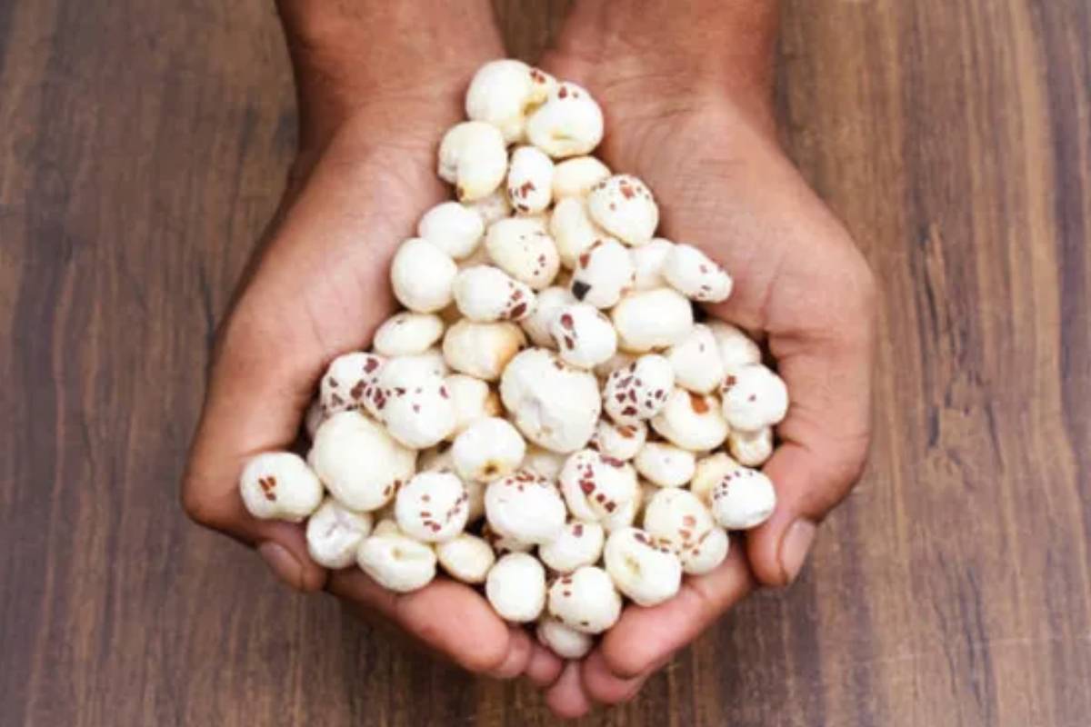 தாமரை விதைகளை பாலில் சேர்த்து சாப்பிட்டால் என்ன நன்மை? | Benefits Of Eating Makhana Foxnuts Mixed With Milk