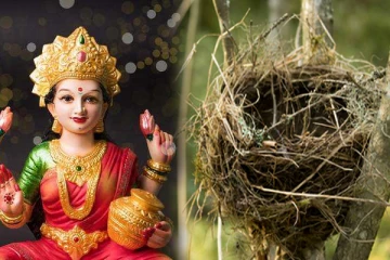 உங்க வீட்டில் இந்த அறிகுறிகள் இருக்கா ? அப்போ வீட்டிற்கு லட்சுமி தேவி வரப்போகிறார் என்று அர்த்தமாம்!