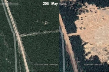 தமிழர்கள் பகுதியில் அழிக்கப்பட்டுக்கொண்டிருக்கும் காடுகள்! அதிர்ச்சி புகைப்படங்கள்