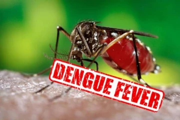 இலங்கையில் டெங்கு அபாயகரமான வலயங்கள் இவைதான்! மக்களே அவதானம்