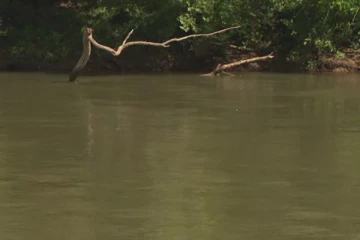 ஓடையில் உயிரிழந்த இளைஞர்