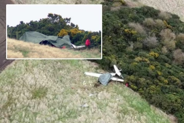 ஸ்காட்லாந்தில் தரையில் விழுந்த சிறிய விமானம்: 50 வயதுடைய விமானிக்கு நேர்ந்த துயரம்