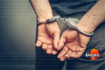 මිනීමැරුමකට අදාළව මන්ත්‍රීවරයෙකු අත්අඩංගුවට