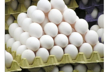 இறக்குமதி செய்யப்படும் முட்டைகளினால் ஏற்படக்கூடிய ஆபத்து