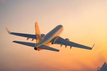 36 ஆயிரம் அடி உயரத்தில் பறந்த விமானம் திடீரென முகப்பு கண்ணாடியில் விரிசல்; விமானி காயம்