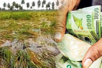 விவசாயிகளுக்கு மகிழ்ச்சித் தகவல்; உடனடியாக இழப்பீட்டுத் தொகை
