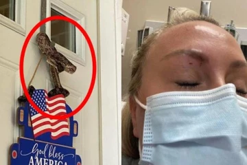 வீட்டு கதவை திறந்த போது நரகவேதனை அனுபவித்த பெண்! புகைப்படங்களுடன் எச்சரிக்கை செய்தி