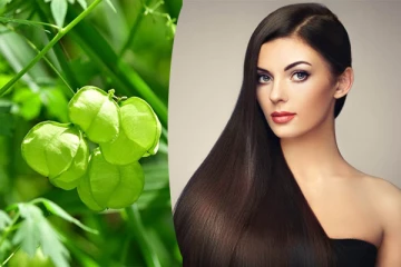 கொட்டிய இடத்தில் மீண்டும் முடி வளர வேண்டுமா? இந்த கீரை போதும்... நல்ல ரிசல்ட் கொடுக்கும்