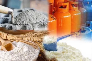 முக்கிய நான்கு பொருட்களுக்கு தட்டுப்பாடு - ஒப்புக் கொண்டது அரசாங்கம்