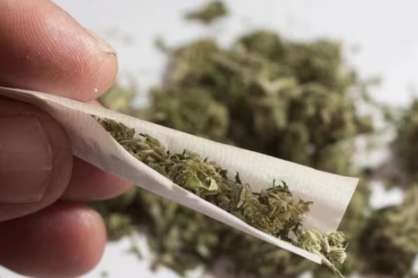 வீட்டில் கஞ்சா வைத்திருந்த பிக் பாஸ் பிரபலம்.. வேறு வழக்கிற்காக வந்த போலீசிடம் வசமாக மாட்டினார் | Bigg Boss Shanmukh Jaswanth Arrested For Ganja