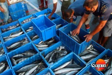 පෑලියගොඩ මත්ස්‍ය වෙළඳ මධ්‍යස්ථානය අදත් විවෘතයි