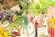 யாழில் இடம்பெற்ற பனைத் திருவிழா