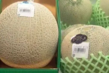 இந்த ஒரே ஒரு பழத்தை வாங்குவதை விட 50 பவுன் நகையே வாங்கிடலாமே? விலை எவ்வளவு தெரியுமா?