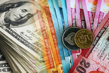 2024 இற்கு பின் முதல் முறையாக 310 ஐத் தொட்ட டொலர் பெறுமதி!