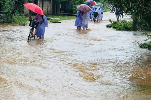 திருகோணமலையில் வெள்ளத்தில் மூழ்கிய தாழ் நிலப் பகுதிகள் ; மக்கள் பெரும் அவதி | Trees Fall In Trinco Houses Damaged