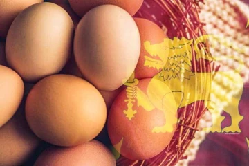 இலங்கைக்கு இறக்குமதி செய்யப்படவுள்ள முட்டைகள்! மக்களுக்கு மகிழ்ச்சித் தகவல்