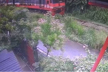 தொடருந்து பாதையில் திடீரென விழுந்த மரம்: நேரவிருந்த மிகப்பெரும் அசம்பாவிதம்