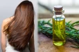 பட்டுபோன்ற மென்மையான கூந்தலை பெற இந்த ஒரு எண்ணெய் போதும்: எப்படி பயன்படுத்துவது?