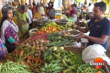 මේ එළවලු ගන්න යන අයට අද සුබ ආරංචියක් මෙන්න
