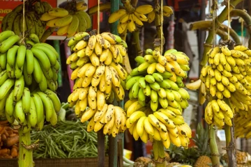 அதிகரித்து வரும் வாழைப்பழத்தின் விலை