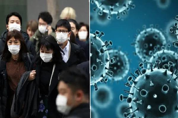 influenza virus