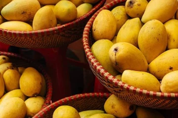 கனடாவில் தமிழ் கடையில் மாம்பழங்களை வாங்கிய ஈழத்தமிழருக்கு ஏற்பட்ட நிலை