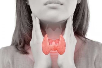 உங்கள் தைராய்டு சுரப்பியை ஆரோக்கியமாக வைத்திருக்க வேண்டுமா? இந்த உணவுகளை அவசியம் எடுத்துகோங்க