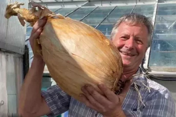 உலக சாதனை படைத்த வெங்காயம்