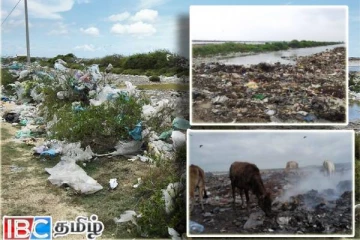 யாழ்.கல்லுண்டாயில் மாநகர சபையின் அசமந்தப் போக்கு : முதியவருக்கு நேர்ந்த கதி