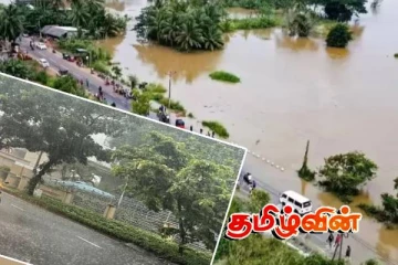 மன்னார் மாவட்டத்தில் அதிகளவில் உயிரிழந்துள்ள மாடுகள் உட்பட பண்ணை விலங்குகள்..