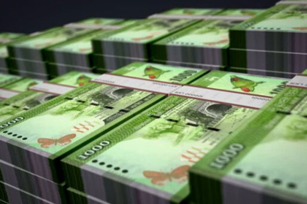 தென்னை மரங்களுக்கான இழப்பீடு! வெளியாகியுள்ள அறிவிப்பு.. | Compensation Raised To Rs 10 000 For Coconut