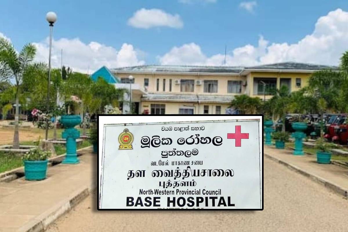 நீரில் மூழ்கி சகோதரர்கள் மூவர் உயிரிழப்பு : புத்தளத்தில் சோகம்! | 3 Members Of The Same Family Drowned At Puttalam