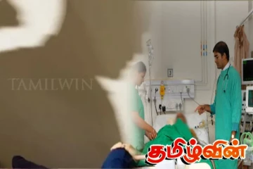 தாயை கொடூரமாக தாக்கிய மகன் - அண்ணனை தாக்கிய தம்பி