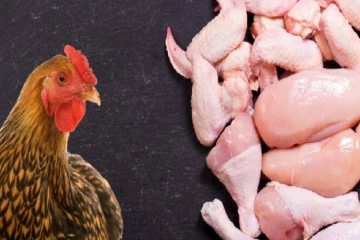 நாட்டில் உள்ளூர் சந்தைகளில் கோழி இறைச்சியின் விலை உயர்வு