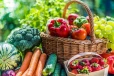 மீண்டும் அதிகரிக்கும் மரக்கறிகளின் விலை