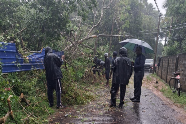 யாழ்ப்பாணத்தில் கடும் மழை; வீதிக்கு குறுக்கே முறிந்து விழுந்த மரம் | Heavy Rain In Jaffna Tree Falls Across Road யாழ்ப்பாணத்தில் கடும் மழை; வீதிக்கு குறுக்கே முறிந்து விழுந்த மரம் | Heavy Rain In Jaffna Tree Falls Across Road
