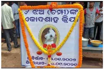 தெருநாய் மறைவிற்கு அஞ்சலி – 500 பேருக்கு அன்னதானம் - நெகிழ்ச்சி சம்பவம்!