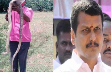 பாம்பு விஷயத்தை கையில் எடுத்த செந்தில்பாலாஜி- அதிர்ச்சியில் தமிழக அரசு
