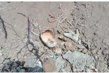 அனலைதீவு பகுதியில் மனித எலும்புக்கூடு மீட்பு (PHOTO)