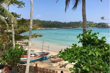 இலங்கையின் எழிலை பிரதிபலிக்கும் அருகம் விரிகுடா! உங்களுக்கு தெரியாத சில உண்மைகளுடன்