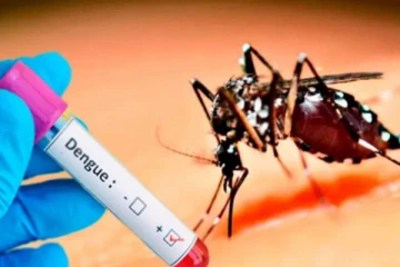 டெங்கு நோயாளர்களின் எண்ணிக்கை அதிகரிப்பு