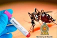 மேல் மாகாணத்தில் அதிகரித்த டெங்கு நோய்: சுகாதார அமைச்சு தகவல்