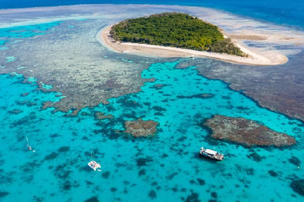 உலகின் மிகப்பெரிய பவளப்பாறை தொடர்பில் வெளியான அறிக்கை! | Australia Great Barrier Coral Reef Progress