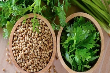 நீரிழிவைத் தடுக்கும் கொத்தமல்லி விதைகள்!